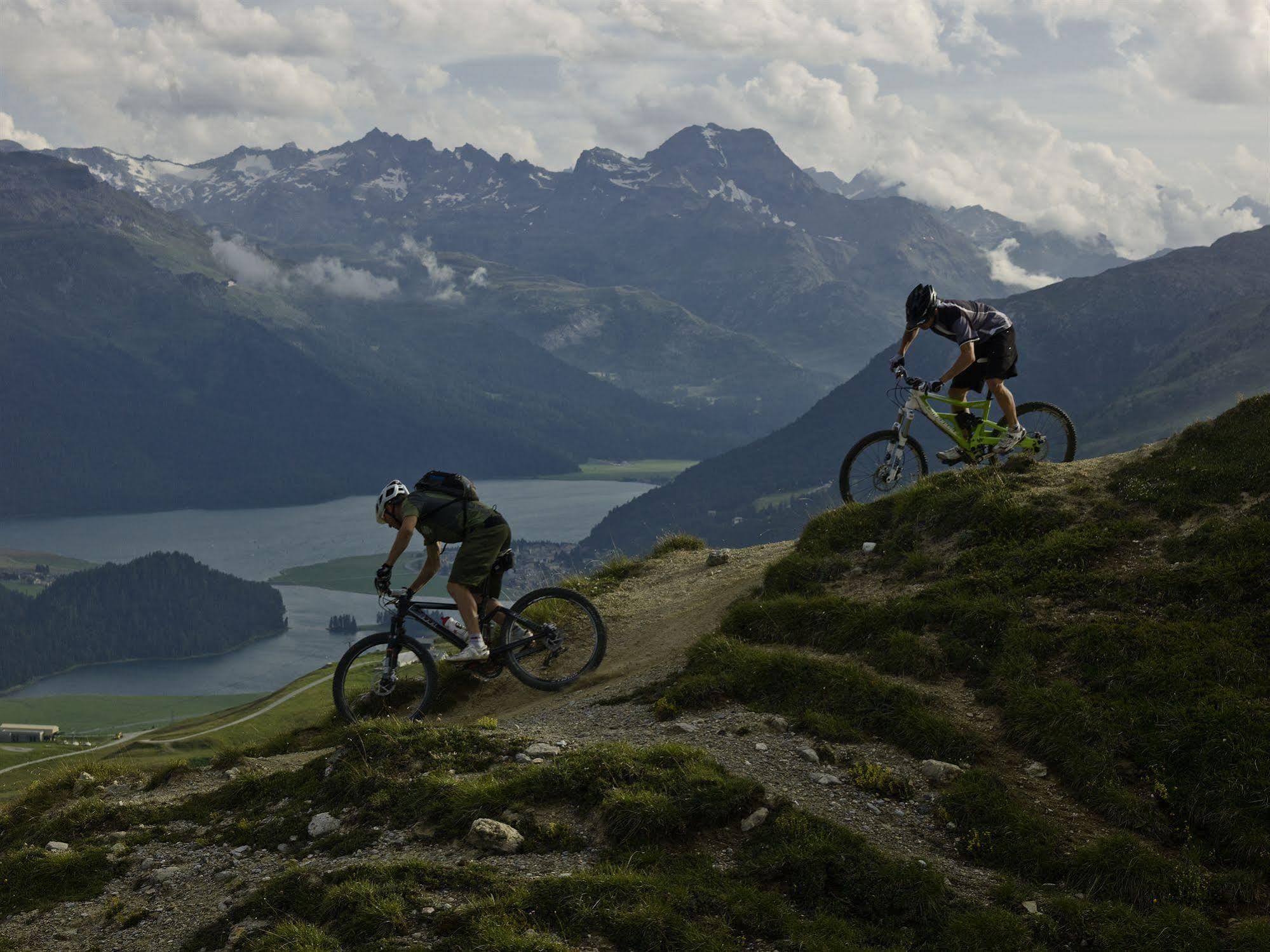 In One - / Swiss Lodge